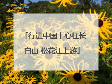 行进中国丨心往长白山 松花江上游