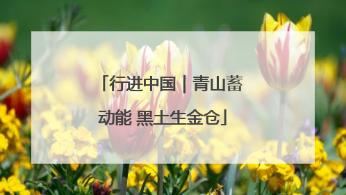 行进中国｜青山蓄动能 黑土生金仓