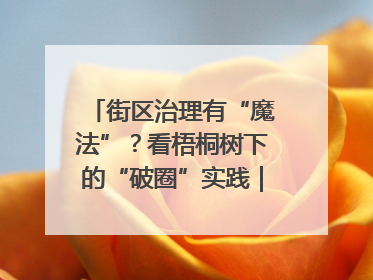 街区治理有“魔法”？看梧桐树下的“破圈”实践｜我在街区当书记