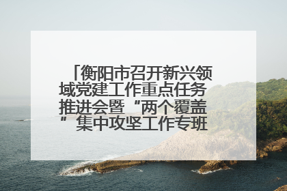 衡阳市召开新兴领域党建工作重点任务推进会暨“两个覆盖”集中攻坚工作专班 第一次会议
