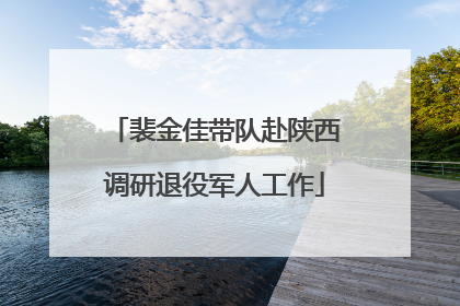 裴金佳带队赴陕西调研退役军人工作