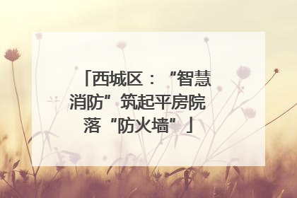 西城区：“智慧消防”筑起平房院落“防火墙”