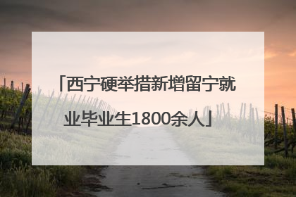 西宁硬举措新增留宁就业毕业生1800余人