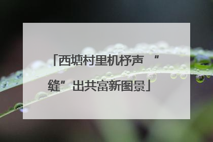 西塘村里机杼声 “缝”出共富新图景