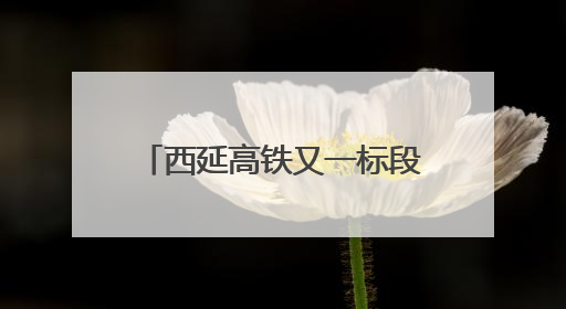 西延高铁又一标段无砟轨道施工完成