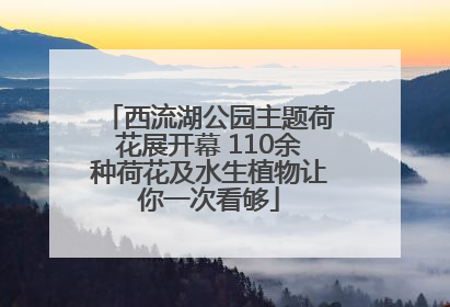 西流湖公园主题荷花展开幕 110余种荷花及水生植物让你一次看够