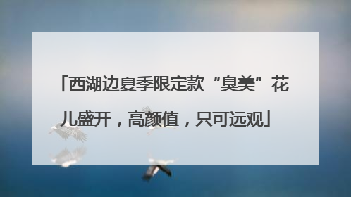 西湖边夏季限定款“臭美”花儿盛开，高颜值，只可远观