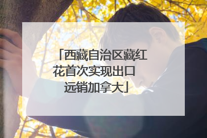 西藏自治区藏红花首次实现出口 远销加拿大