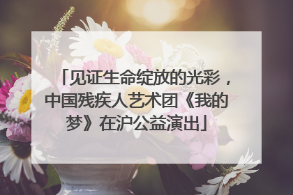 见证生命绽放的光彩，中国残疾人艺术团《我的梦》在沪公益演出