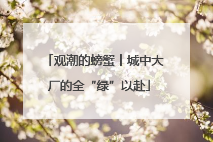 观潮的螃蟹丨城中大厂的全“绿”以赴