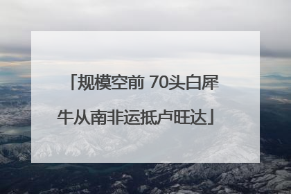 规模空前 70头白犀牛从南非运抵卢旺达