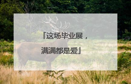 这场毕业展，满满都是爱