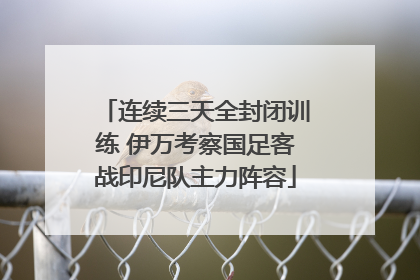 连续三天全封闭训练 伊万考察国足客战印尼队主力阵容