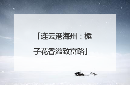 连云港海州：栀子花香溢致富路