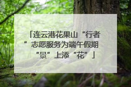 连云港花果山“行者”志愿服务为端午假期“景”上添“花”