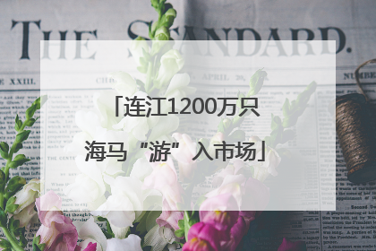 连江1200万只海马“游”入市场