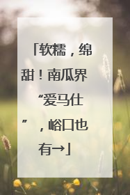 软糯，绵甜！南瓜界 “爱马仕”，峪口也有→