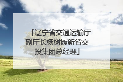 辽宁省交通运输厅副厅长杨树履新省交投集团总经理