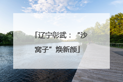 辽宁彰武：“沙窝子”焕新颜
