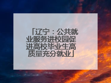 辽宁：公共就业服务进校园促进高校毕业生高质量充分就业