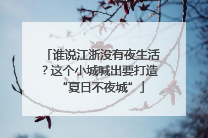 谁说江浙没有夜生活？这个小城喊出要打造“夏日不夜城”
