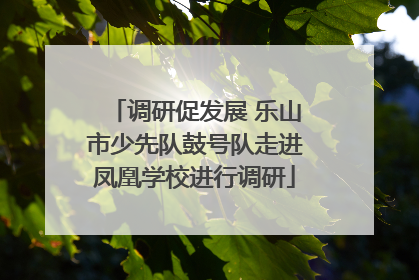 调研促发展 乐山市少先队鼓号队走进凤凰学校进行调研
