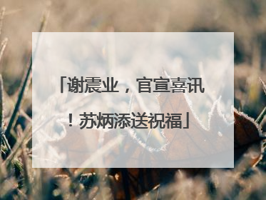 谢震业，官宣喜讯！苏炳添送祝福