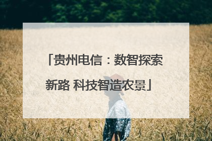 贵州电信：数智探索新路 科技智造农景