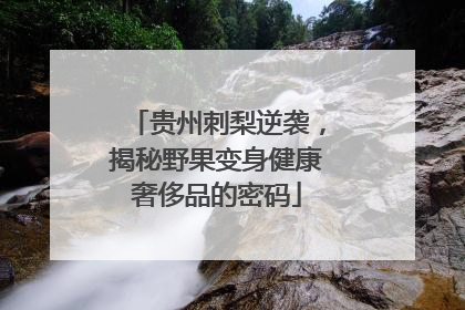 贵州刺梨逆袭，揭秘野果变身健康奢侈品的密码