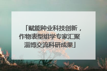 赋能种业科技创新，作物表型组学专家汇聚淄博交流科研成果