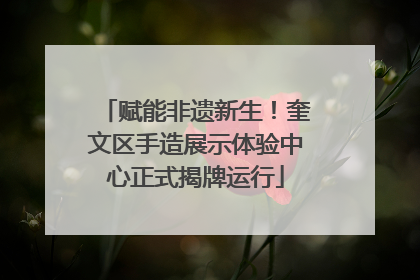 赋能非遗新生！奎文区手造展示体验中心正式揭牌运行