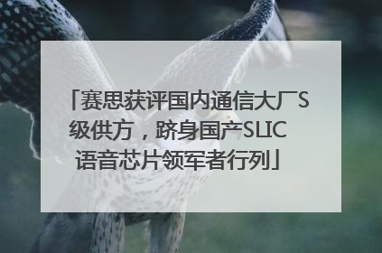 赛思获评国内通信大厂S级供方，跻身国产SLIC语音芯片领军者行列