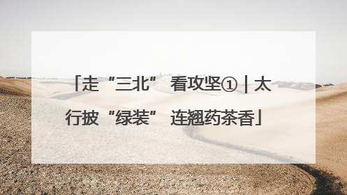 走“三北” 看攻坚①｜太行披“绿装” 连翘药茶香