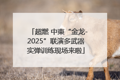 超燃 中柬“金龙-2025”联演多武器实弹训练现场来啦