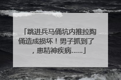 跳进兵马俑坑内推拉陶俑造成损坏！男子抓到了，患精神疾病……