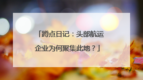 蹲点日记：头部航运企业为何聚集此地？