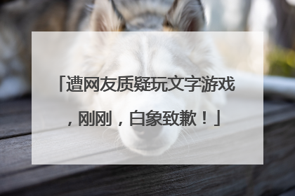 遭网友质疑玩文字游戏，刚刚，白象致歉！