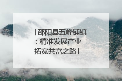邵阳县五峰铺镇：精准发展产业 拓宽共富之路