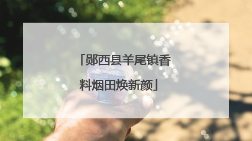 郧西县羊尾镇香料烟田焕新颜
