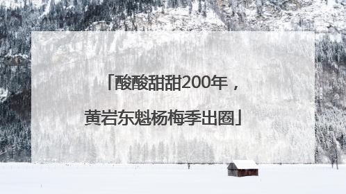 酸酸甜甜200年，黄岩东魁杨梅季出圈