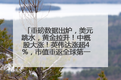 重磅数据出炉，美元跳水，黄金拉升！中概股大涨！英伟达涨超4%，市值重返全球第一！黄仁勋计划出售至多600万股股票