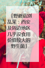 野蘑菇别乱采：西安及周边地区几乎没食用价值较大的野生菌