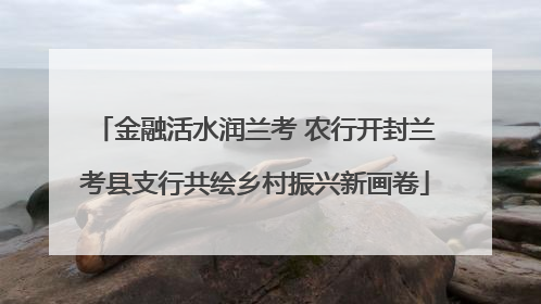 金融活水润兰考 农行开封兰考县支行共绘乡村振兴新画卷