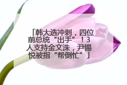 韩大选冲刺，四位前总统“出手”！3人支持金文洙，尹锡悦被指“帮倒忙”