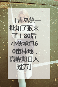 青岛第一批知了猴来了！80后小伙承包60亩林地，高峰期日入过万