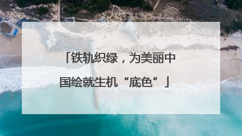 铁轨织绿，为美丽中国绘就生机“底色”