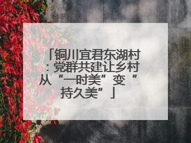 铜川宜君东湖村：党群共建让乡村从“一时美”变“持久美”