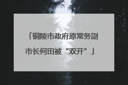 铜陵市政府原常务副市长何田被“双开”
