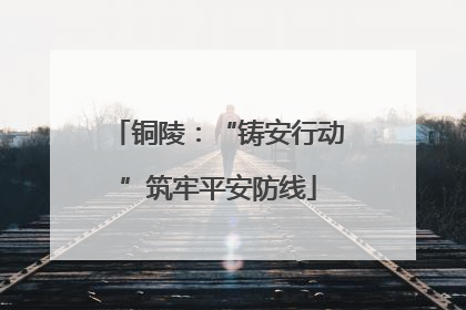 铜陵：“铸安行动”筑牢平安防线