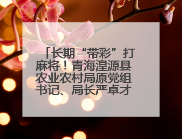 长期“带彩”打麻将！青海湟源县农业农村局原党组书记、局长严卓才被“双开”